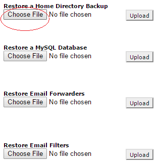 Click on Choose File under Restore a Home Directory Backup