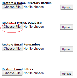 Click on Choose File under Restore a MySQL Database