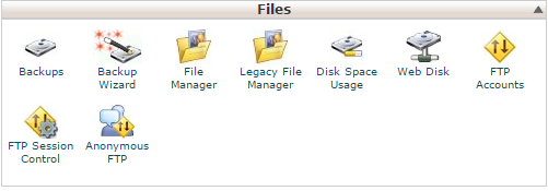 Click on File Manager under Files in cPanel