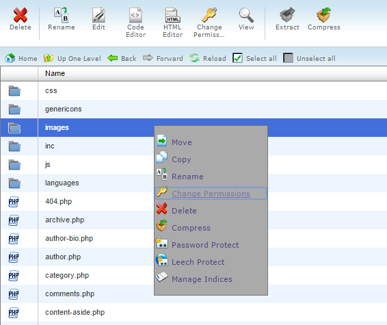 Right click on file, folder and click on Change Permissions in File manager