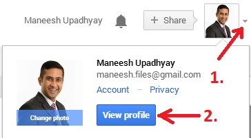 View Profile in Google+ Page