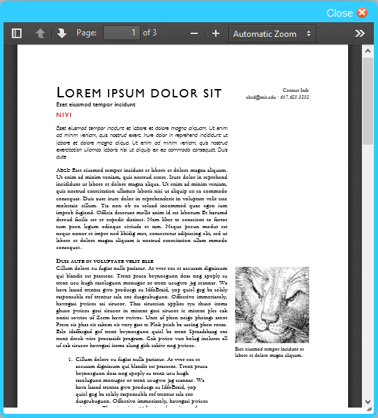 Add Dialog box with PDF reader in WordPress blog