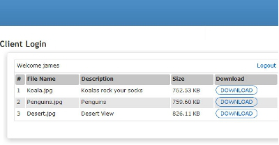Best WordPress Plugin To Provide Secure Access For Files Best WordPress Plugin To Provide Secure Access For Files