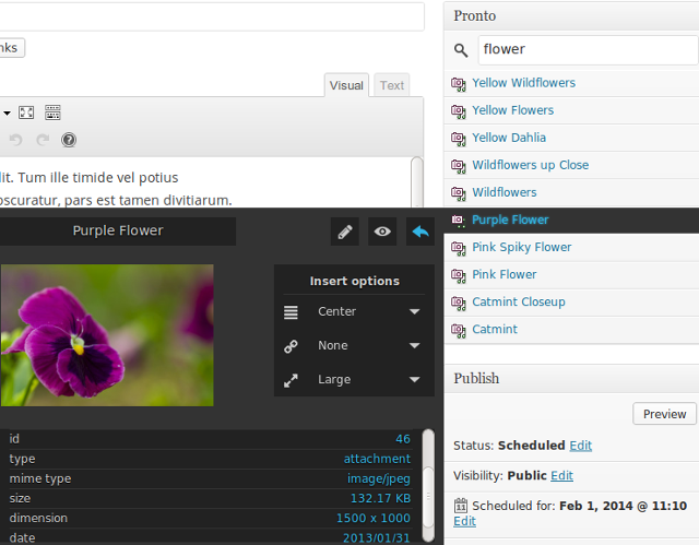 How To Access Content Directly From Post Editor In WordPress How To Access Content Directly From Post Editor In WordPress
