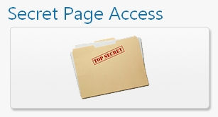Let Readers Access File In WordPress By Using A Secret Code