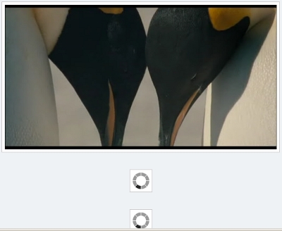 Reduce Loading Time Of WordPress Blog That Has Many Images Reduce Loading Time Of WordPress Blog That Has Many Images