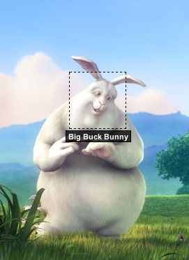 How To Tag Images In WordPress And Add Text, HTML, Videos