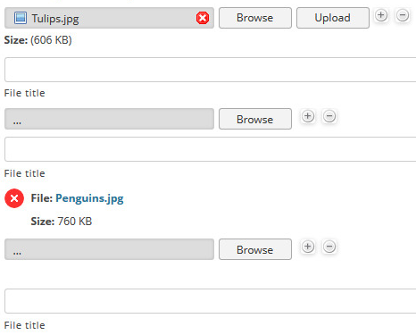 Resize images, previews, drag and drop, add title in Gravity forms Resize images, previews, drag and drop, add title in Gravity forms