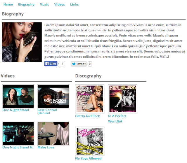 Turn WordPress Blog In To Music Site And Store For Bands Turn WordPress Blog In To Music Site And Store For Bands