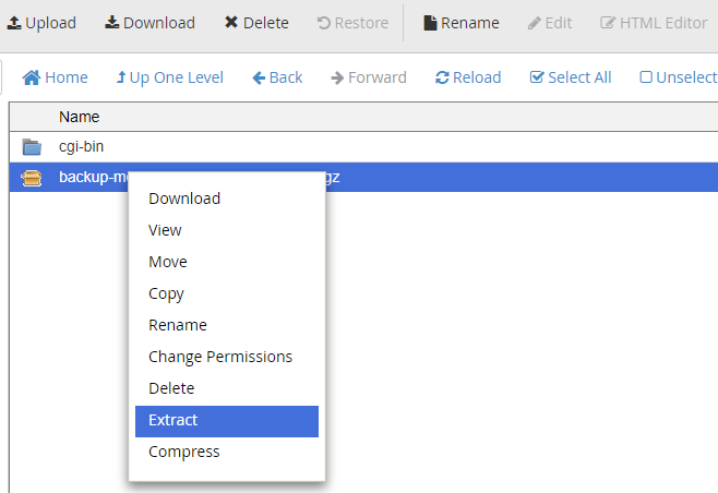 Right click on Home Directory Backup and click on Extract
