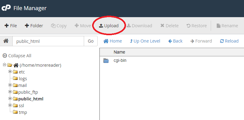 Click on Upload button at the top in File Manager