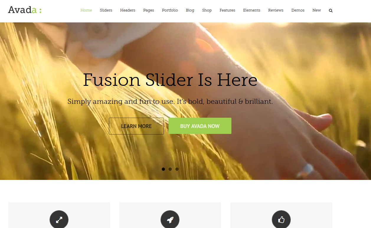 Avada WordPress Theme