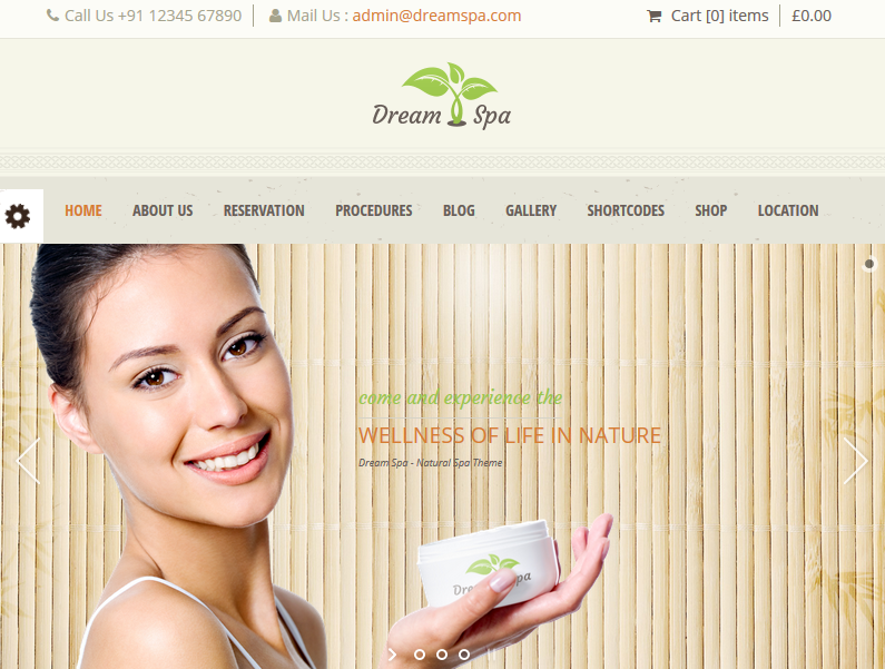 Dream Spa WordPress Theme Dream Spa WordPress Theme