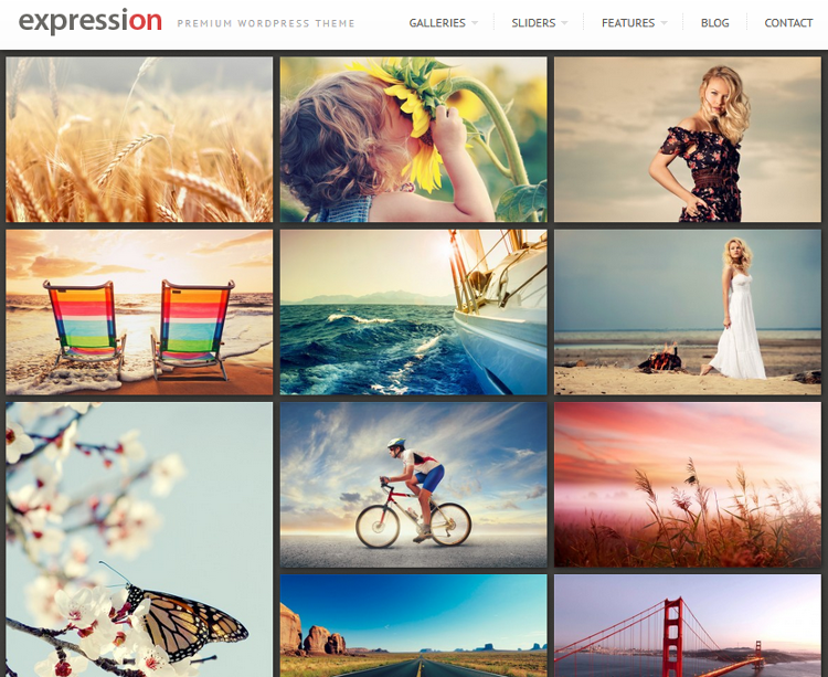 Expression WordPress Theme