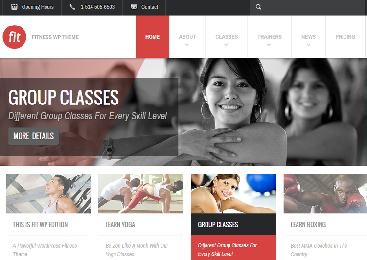 FIT WordPress Theme FIT WordPress Theme