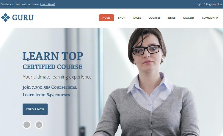 Guru WordPress Theme