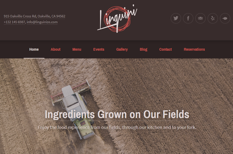 Linguini WordPress Theme