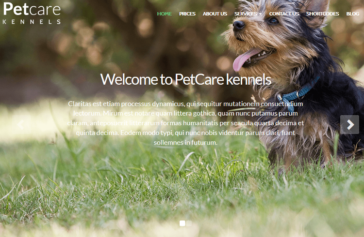 PetCare WordPress Theme PetCare WordPress Theme