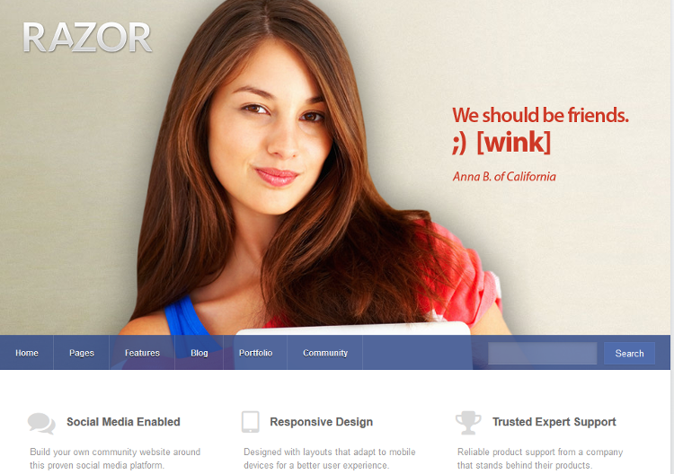 Razor WordPress Theme Razor WordPress Theme