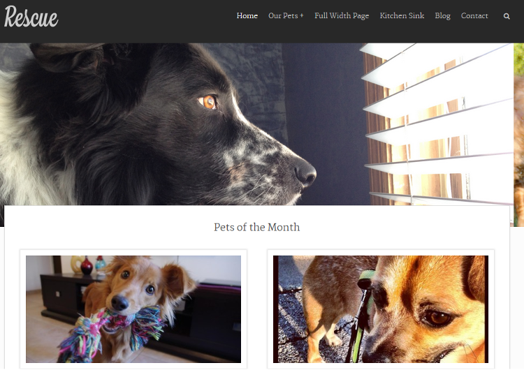 Rescue WordPress Theme Rescue WordPress Theme