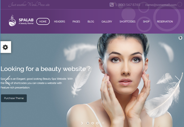Spa Lab WordPress Theme Spa Lab WordPress Theme