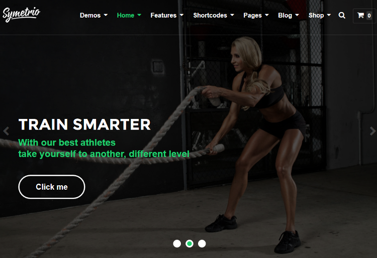 Symetrio WordPress Theme Symetrio WordPress Theme