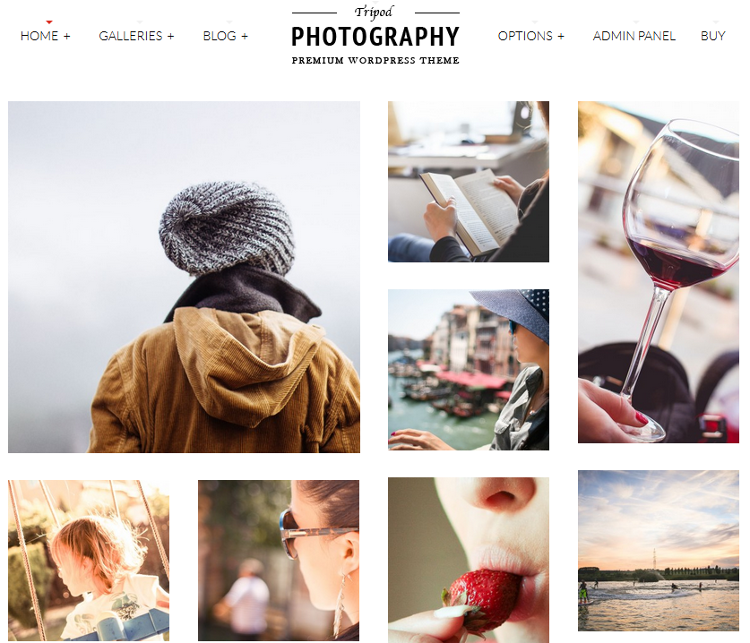 Tripod WordPress Theme