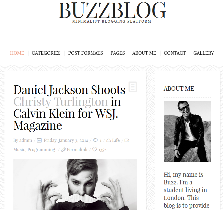 BuzzBlog WordPress Theme