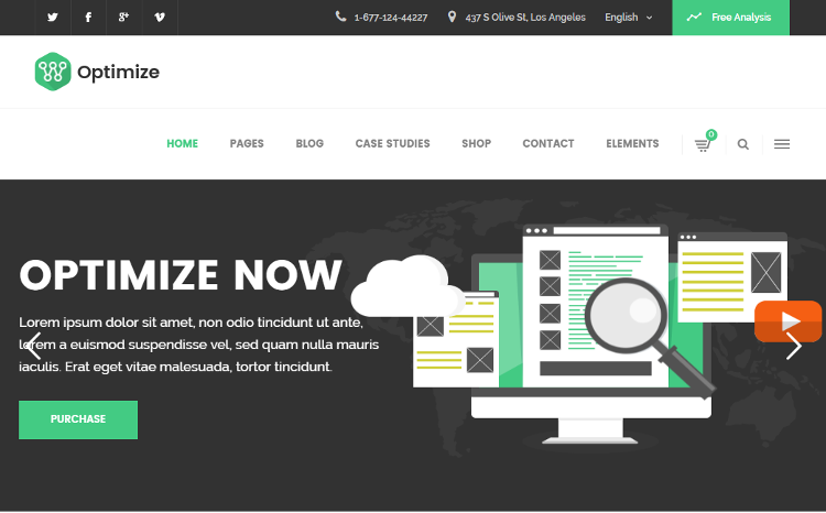 Optimize WordPress Theme