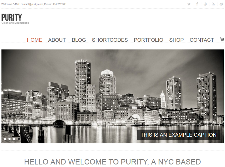 Purity WordPress Theme