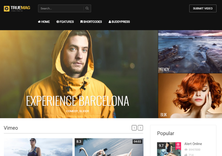 True Mag WordPress Theme