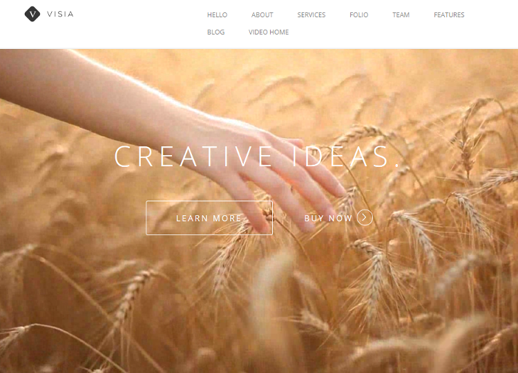 Visia WordPress Theme Visia WordPress Theme