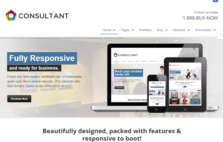 WP Consultant WordPress Theme