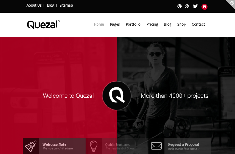 Quezal WordPress Theme Quezal WordPress Theme