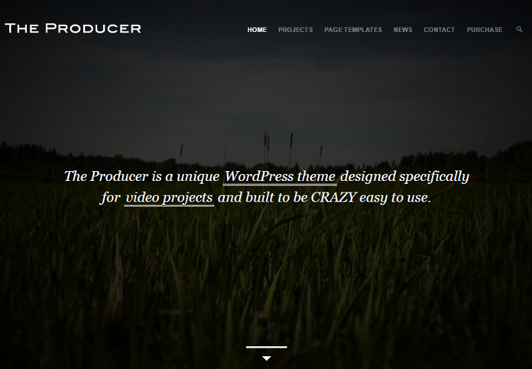 The Producer WordPress Theme The Producer WordPress Theme