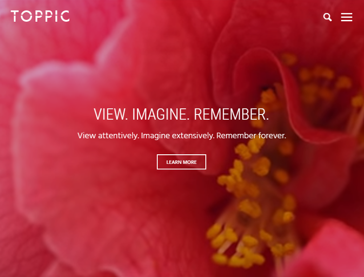 TopPic WordPress Theme