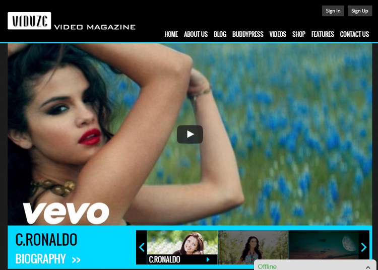 Viduze WordPress Theme