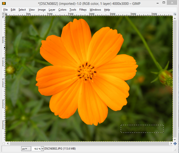 Date and time stamp is successfully removed from image