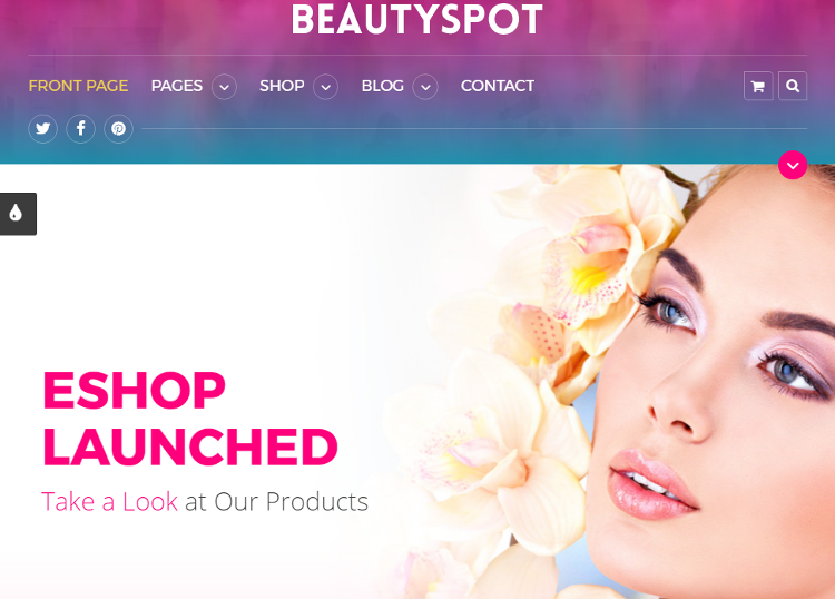 BeautySpot HTML5 Template BeautySpot HTML5 Template