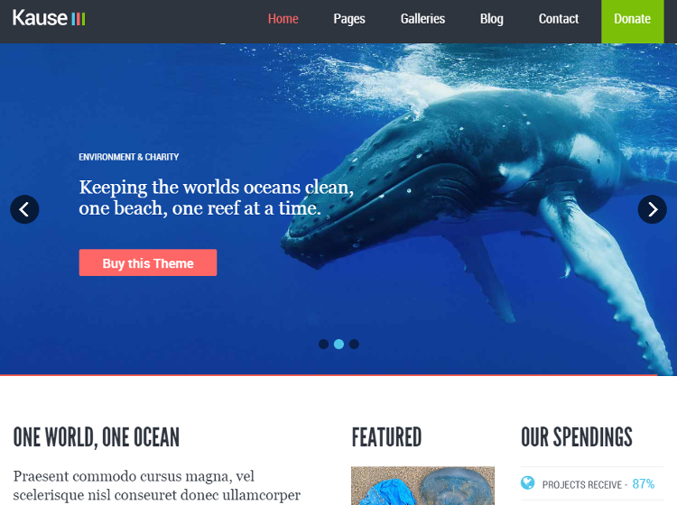 Kause HTML5 Template