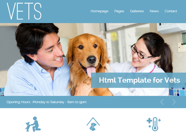 VETS HTML5 Template