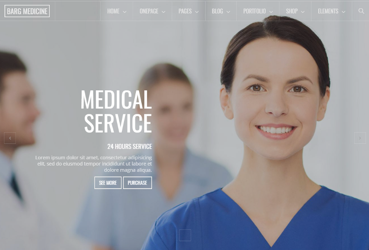 Berg Medical Drupal Theme Berg Medical Drupal Theme