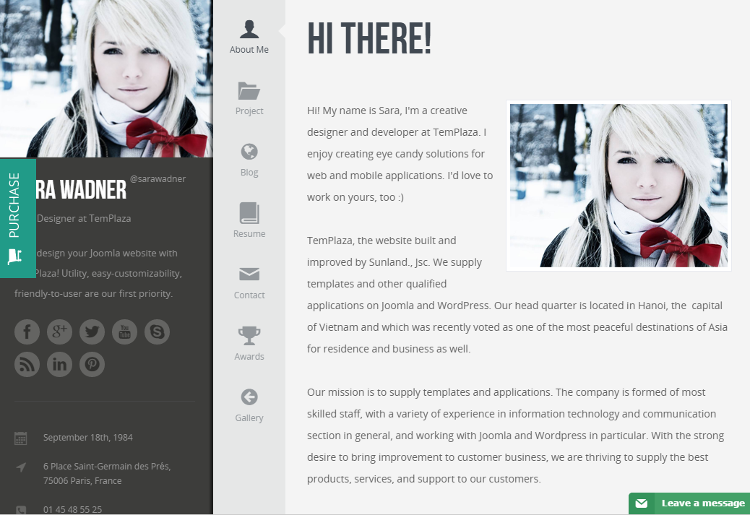 Profiler Joomla Template Profiler Joomla Template