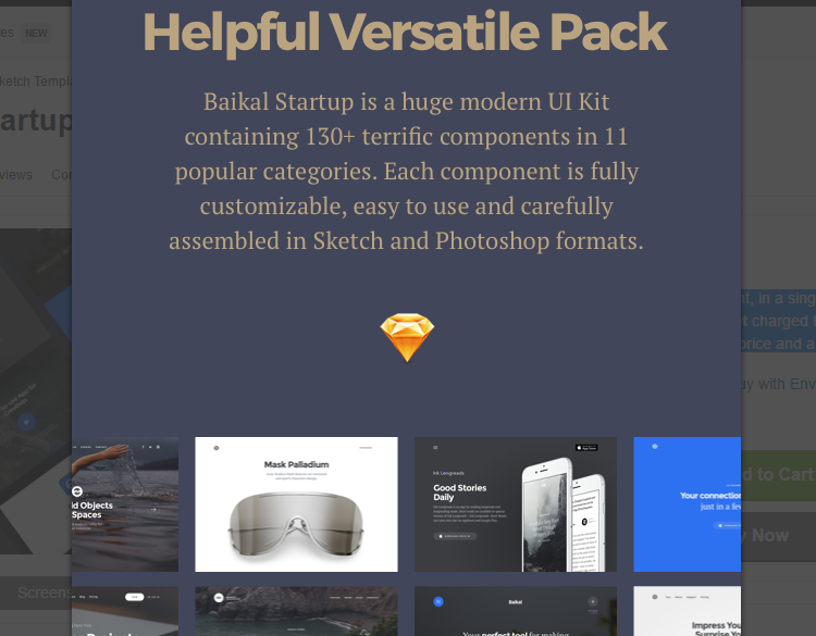 Baikal Startup UI Kit Sketch App Templates Baikal Startup UI Kit Sketch App Templates