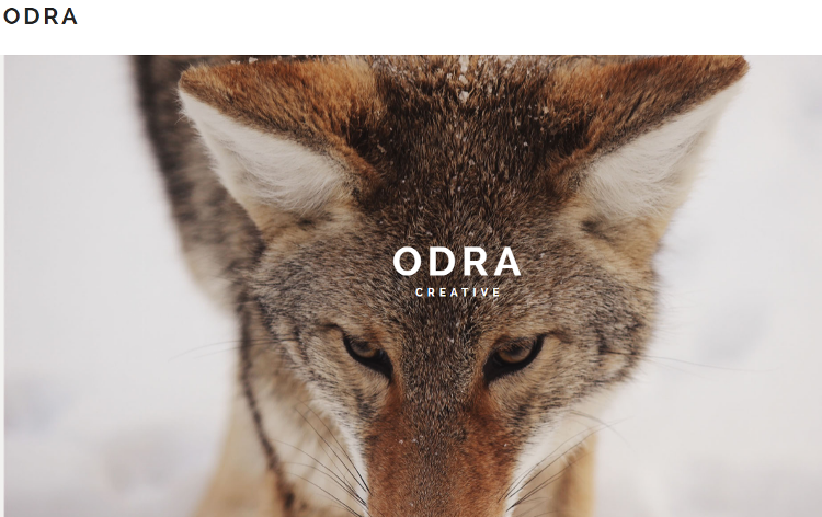ODRA Adobe Muse Template