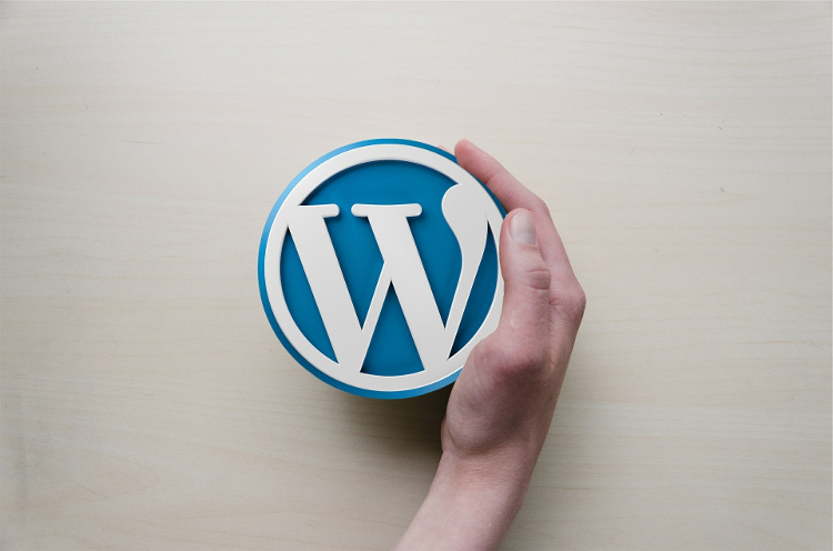 5 Reasons WordPress Is Right CMS For Your Business Website