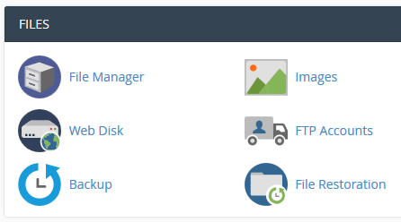 Click on File manager in cPanel