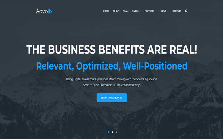 Advolix Consulting Services Theme