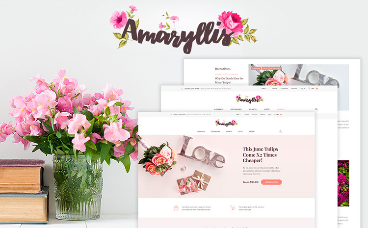 Amaryllis - Classy WooCommerce Theme