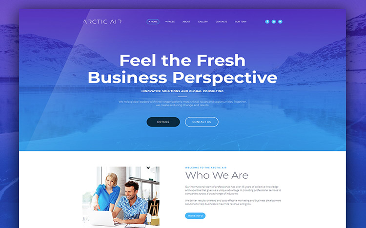 Artctic Business Startup Template